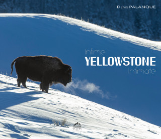 Intime Yellowstone