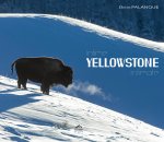 Intime Yellowstone