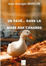 PAVE DANS MARE AUX CANARDS