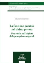 funzione punitiva nel diritto privato. Uno studio sull'atipicità delle pene private negoziali