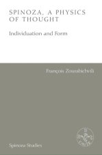 Spinoza, a Physics of Thought