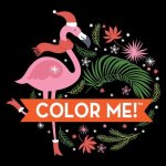 Color Me! Christmas (Flamingo Cover - Coloring Book with Quotes!)