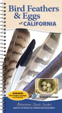 Bird Feathers & Eggs of California