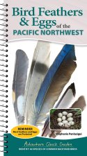 Bird Feathers & Eggs of the Northwest