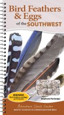 Bird Feathers & Eggs of the Southwest