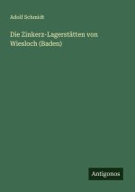 Die Zinkerz-Lagerstätten von Wiesloch (Baden)