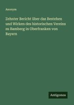 Zehnter Bericht über das Bestehen und Wirken des historischen Vereins zu Bamberg in Oberfranken von Bayern