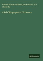 A Brief Biographical Dictionary