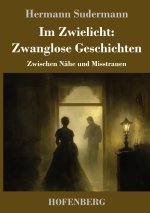 Im Zwielicht: Zwanglose Geschichten