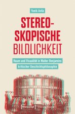 Stereoskopische Bildlichkeit