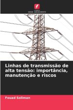 Linhas de transmissão de alta tensão: importância, manutenção e riscos