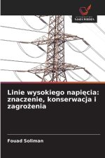 Linie wysokiego napi¿cia: znaczenie, konserwacja i zagro¿enia