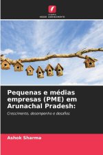 Pequenas e médias empresas (PME) em Arunachal Pradesh: