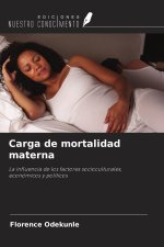 Carga de mortalidad materna