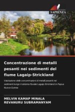 Concentrazione di metalli pesanti nei sedimenti del fiume Lagaip-Strickland