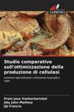 Studio comparativo sull'ottimizzazione della produzione di cellulasi