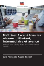 Maîtrisez Excel à tous les niveaux: débutant, intermédiaire et avancé