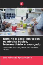 Domine o Excel em todos os níveis: básico, intermediário e avançado