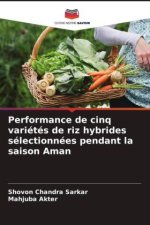 Performance de cinq variétés de riz hybrides sélectionnées pendant la saison Aman