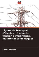 Lignes de transport d'électricité à haute tension : importance, maintenance et risques