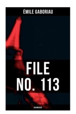 FILE NO. 113 (Unabridged)