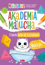 3 latek bawi się kształtami. Akademia malucha