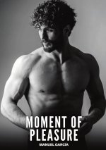 Moment of Pleasure