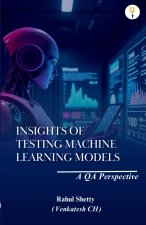 Insights of Testing Machine Learning Models
