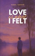 Love is what I felt