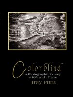 Colorblind