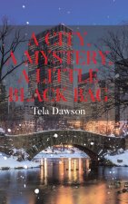 A City, a Mystery, a Little Black Bag