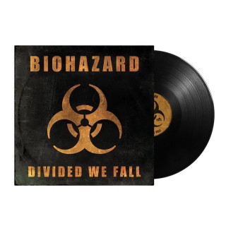 Divided We Fall