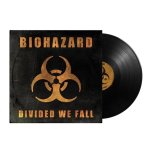 Divided We Fall