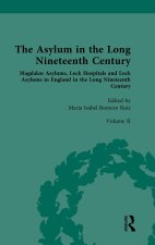 Asylum in the Long Nineteenth Century