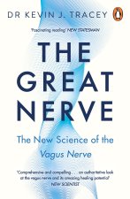 Great Nerve
