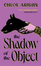 Shadow of the Object