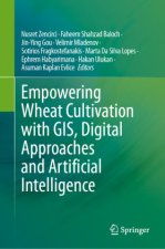 Empowering Wheat Cultivation with GIS, Digital Approaches and Artificial Intelligence