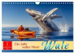 Wale - ein Jahr voller Meer (Wandkalender 2026 DIN A4 quer), CALVENDO Monatskalender