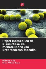 Papel metabólico da biossíntese da menaquinona em Enterococcus faecalis