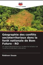 Géographie des conflits socioterritoriaux dans la forêt nationale de Bom Futuro - RO