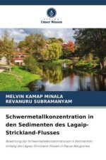 Schwermetallkonzentration in den Sedimenten des Lagaip-Strickland-Flusses