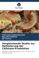 Vergleichende Studie zur Optimierung der Cellulase-Produktion