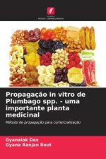 Propagação in vitro de Plumbago spp. - uma importante planta medicinal