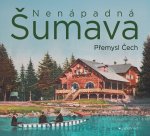 Nenápadná Šumava