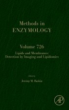 Lipids and Membranes: Detection by Imaging and Lipidomics