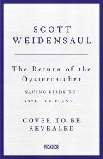 The Return of the Oystercatchers