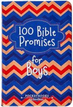 100 Bible Promises for Boys