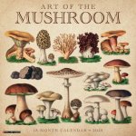 Art of the Mushroom 2026 12 X 12 Wall Calendar