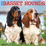 Basset Hounds 2026 12 X 12 Wall Calendar