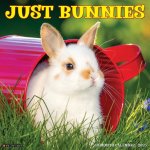 Bunnies 2026 12 X 12 Wall Calendar